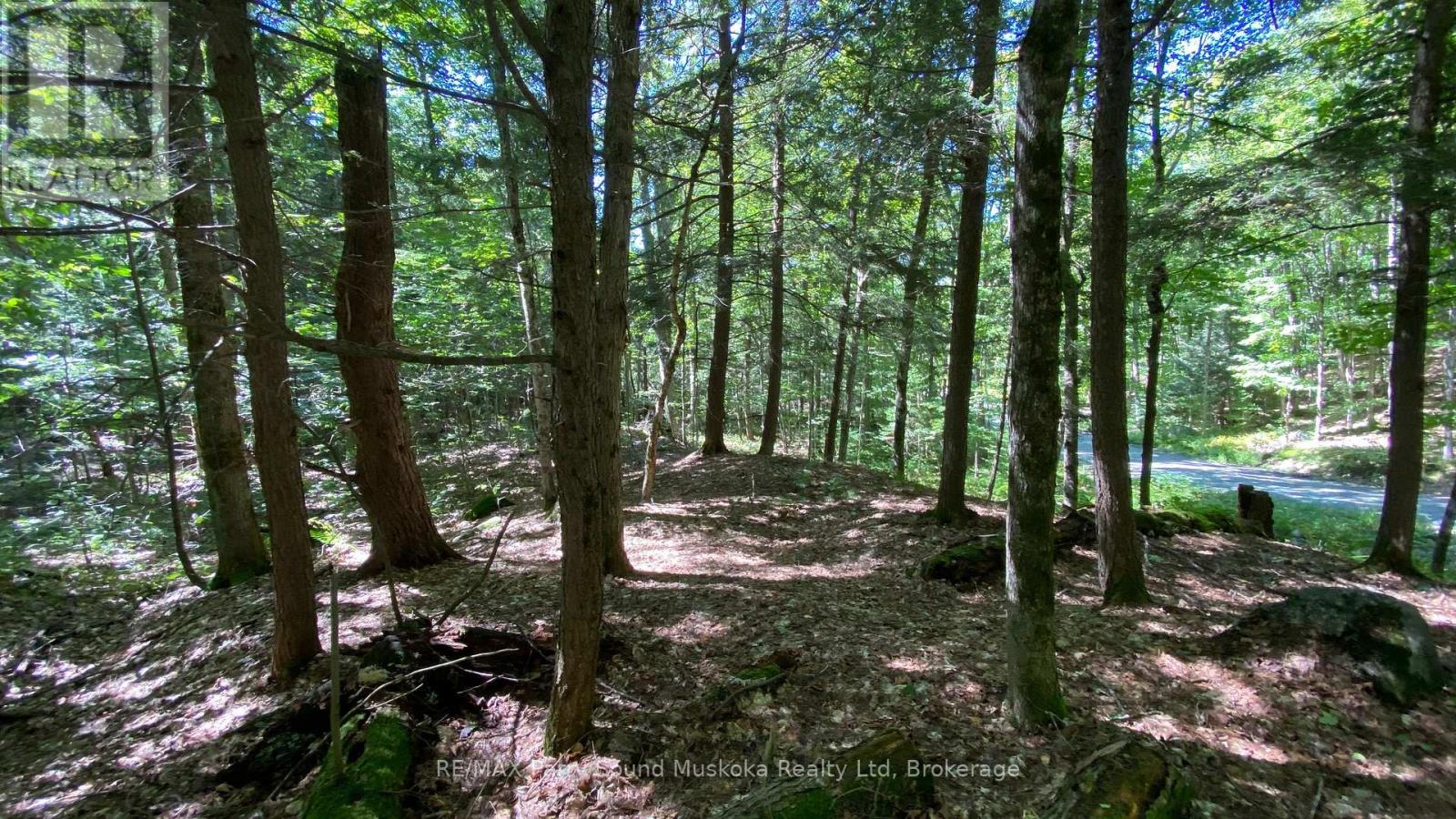 22 Gryffin Bluffs Lane — photo 25