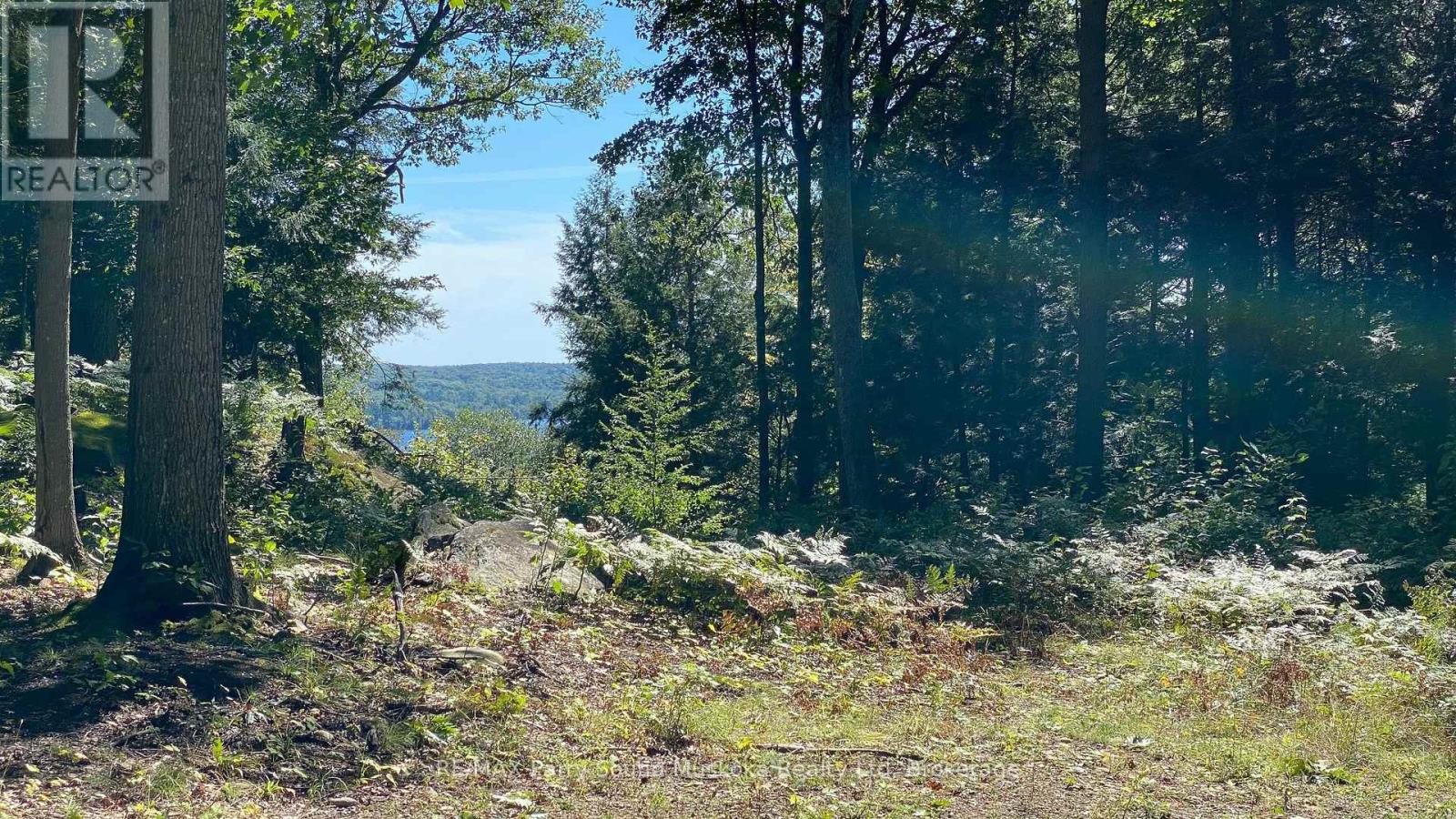 22 Gryffin Bluffs Lane — photo 26