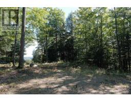 6 - 22 Gryffin Bluffs Lane, Huntsville, ON P0B1M0 Photo 17