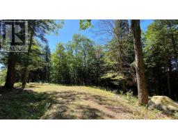 6 - 22 Gryffin Bluffs Lane, Huntsville, ON P0B1M0 Photo 21