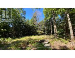 6 - 22 Gryffin Bluffs Lane, Huntsville, ON P0B1M0 Photo 27