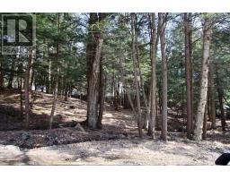 6 - 22 Gryffin Bluffs Lane, Huntsville, ON P0B1M0 Photo 15