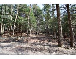 6 - 22 Gryffin Bluffs Lane, Huntsville, ON P0B1M0 Photo 19