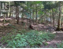 6 - 22 Gryffin Bluffs Lane, Huntsville, ON P0B1M0 Photo 29