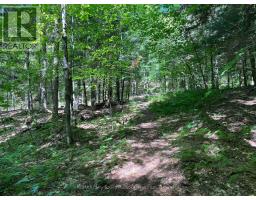 6 - 22 Gryffin Bluffs Lane, Huntsville, ON P0B1M0 Photo 7