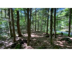 6 - 22 Gryffin Bluffs Lane, Huntsville, ON P0B1M0 Photo 11