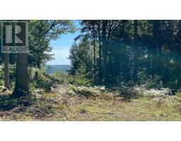6 - 22 Gryffin Bluffs Lane, Huntsville, ON P0B1M0 Photo 30