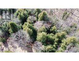 6 - 22 Gryffin Bluffs Lane, Huntsville, ON P0B1M0 Photo 8