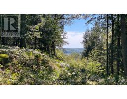6 - 22 Gryffin Bluffs Lane, Huntsville, ON P0B1M0 Photo 16
