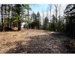 6 - 22 Gryffin Bluffs Lane, Huntsville, ON P0B1M0 Photo 20