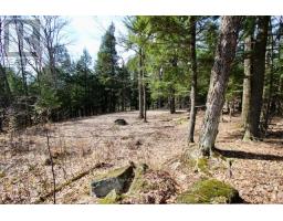 6 - 22 Gryffin Bluffs Lane, Huntsville, ON P0B1M0 Photo 13