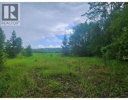 Lot C Norwood Road, Quesnel, BC V2J7B9 Photo 6