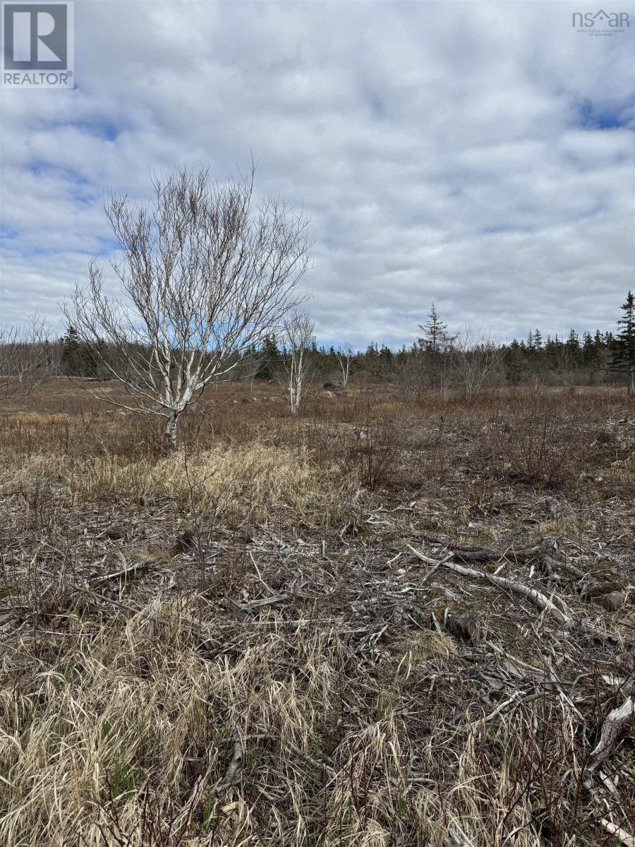 Property 7 of 28 of Lot 8b Shore road west