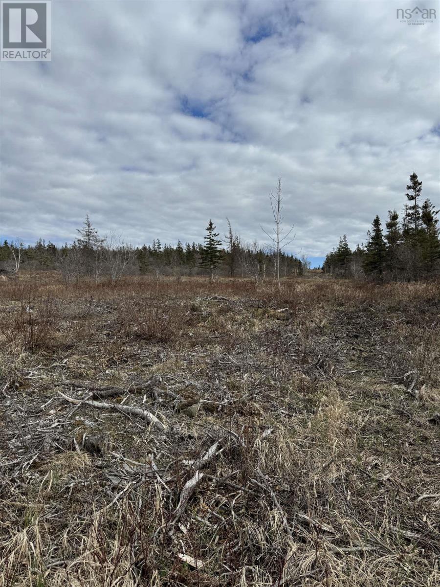 Property 13 of 28 of Lot 8b Shore road west