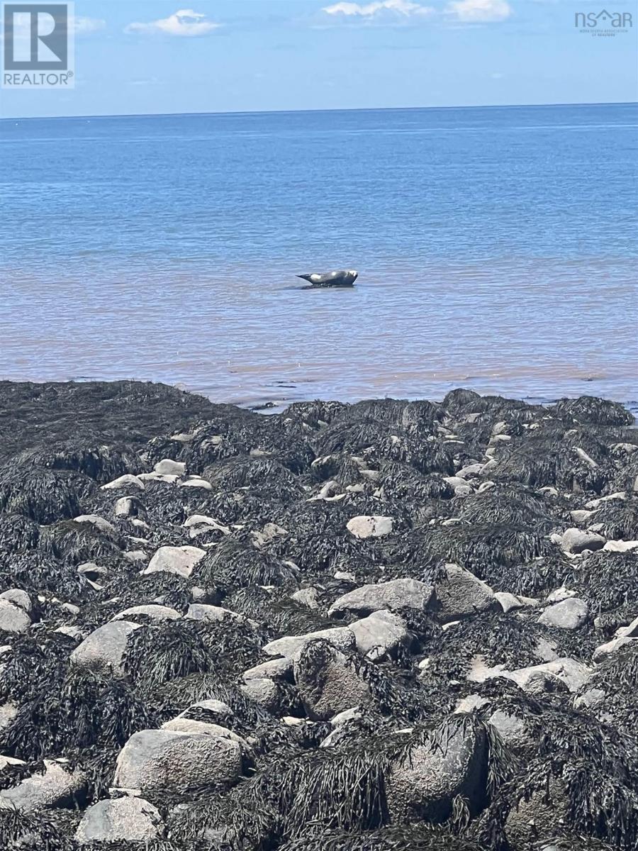 Property 19 of 28 of Lot 8b Shore road west