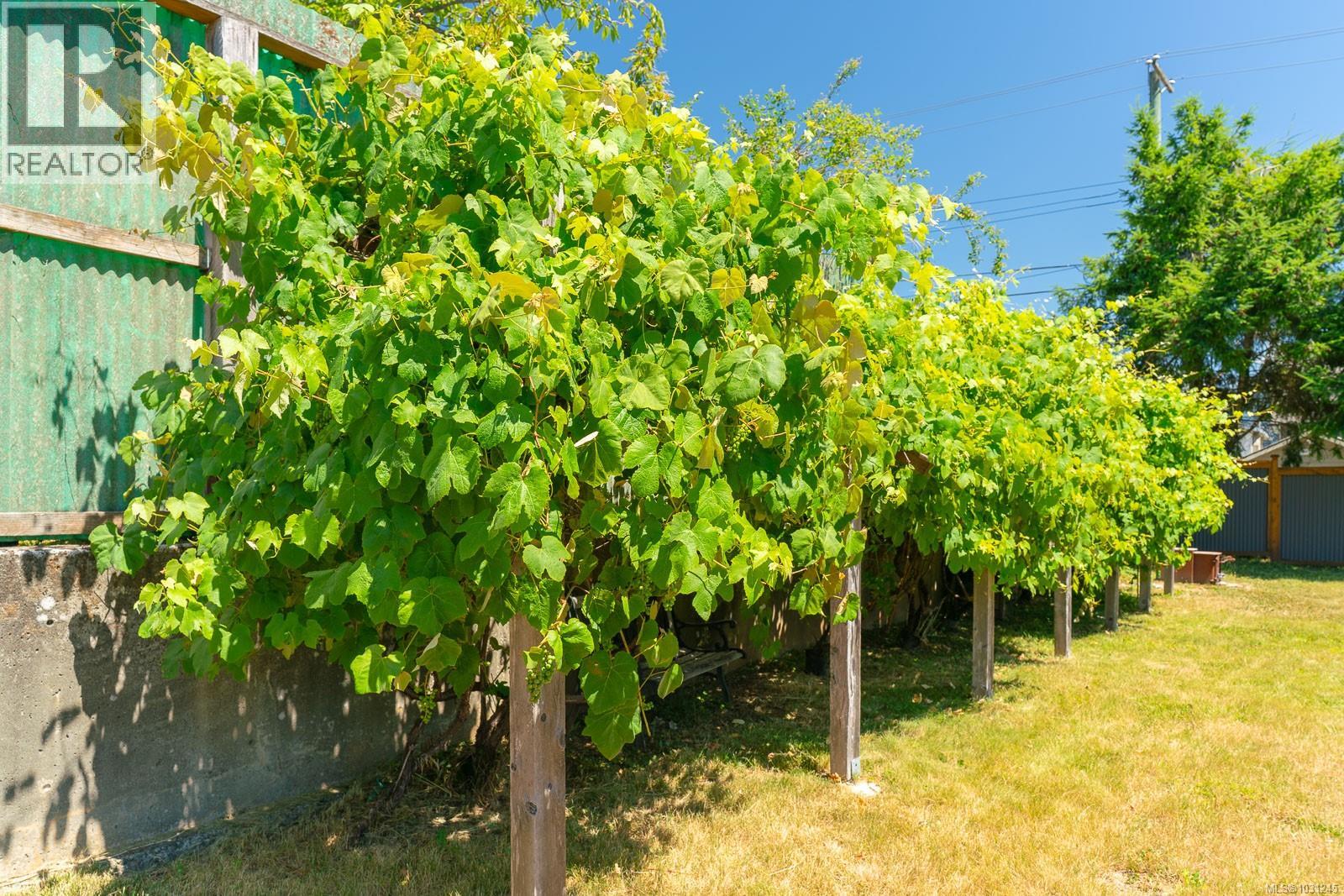 3807 5th Ave, Port Alberni