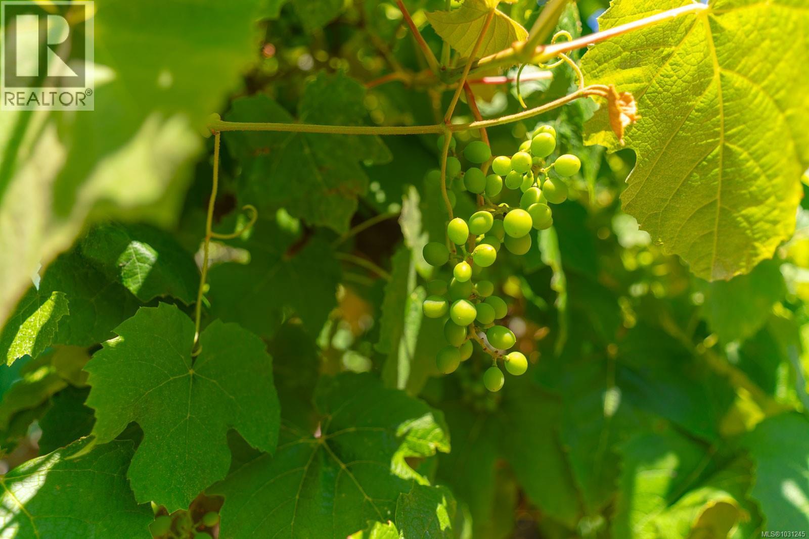 3807 5th Ave, Port Alberni