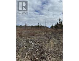 Lot 9 Shore Road West, Phinneys Cove, NS B0S1L0 Photo 13