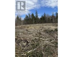 Lot 9 Shore Road West, Phinneys Cove, NS B0S1L0 Photo 22
