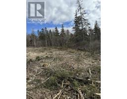 Lot 9 Shore Road West, Phinneys Cove, NS B0S1L0 Photo 8