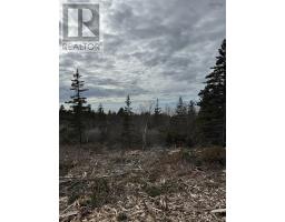 Lot 9 Shore Road West, Phinneys Cove, NS B0S1L0 Photo 23