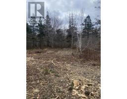 Lot 9 Shore Road West, Phinneys Cove, NS B0S1L0 Photo 9
