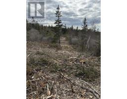 Lot 9 Shore Road West, Phinneys Cove, NS B0S1L0 Photo 20