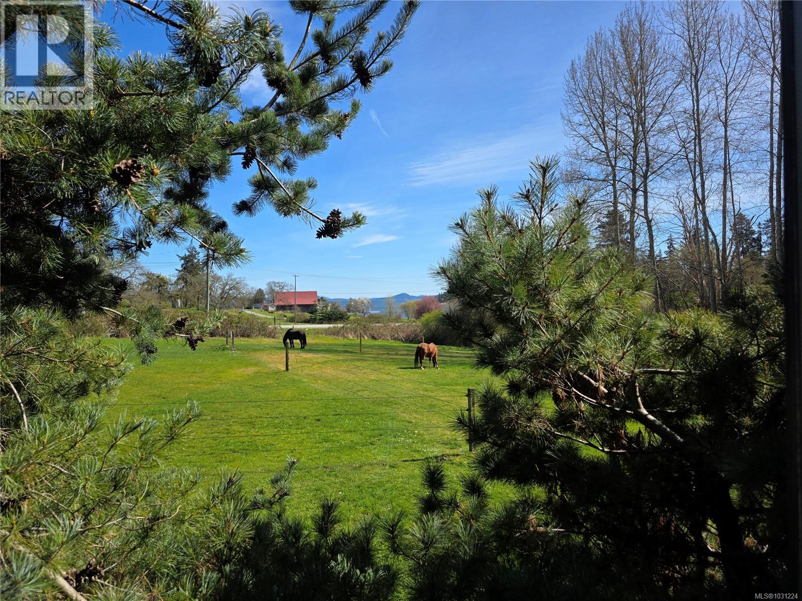 2035 PACE RD - Image 3