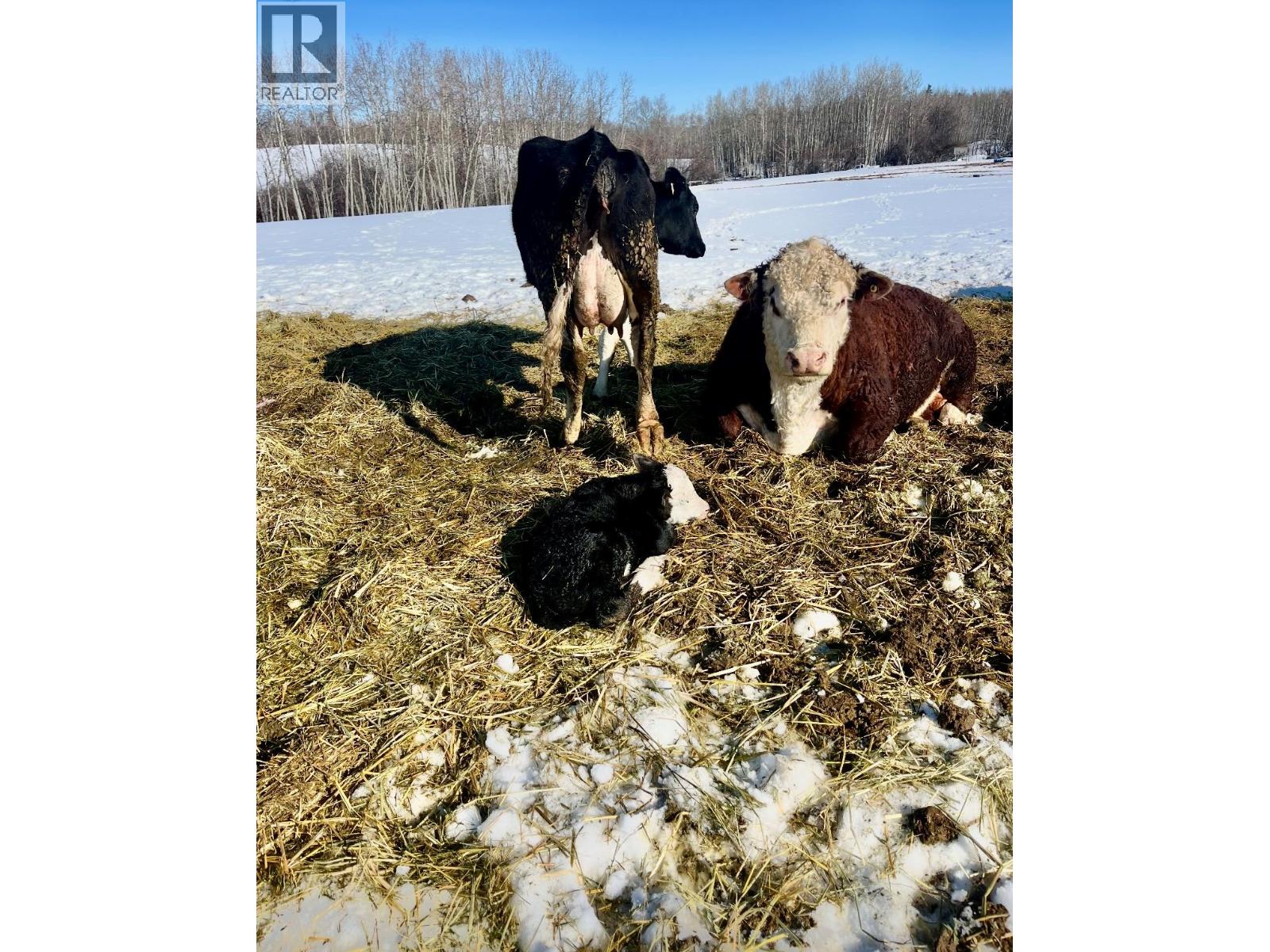 15051 Old Edmonton Highway, Dawson Creek