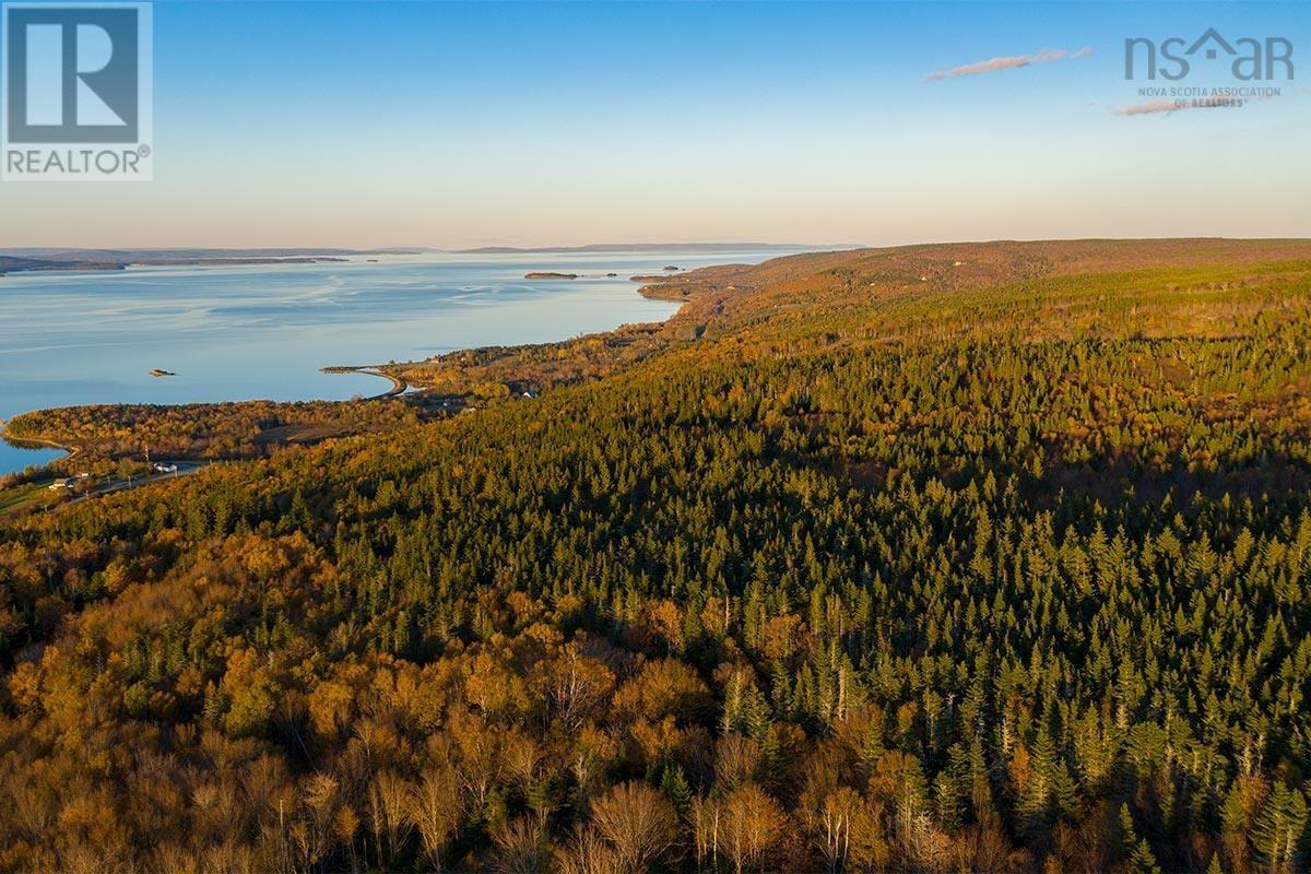 Property 10 of 16 of Parcel A Rosemary Dr.