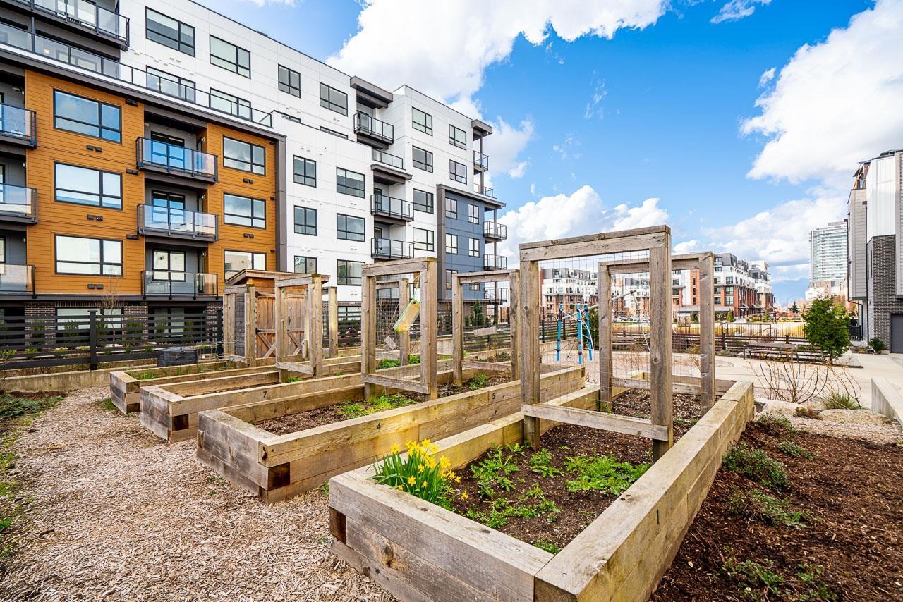 50 20057 82 AVENUE, Langley