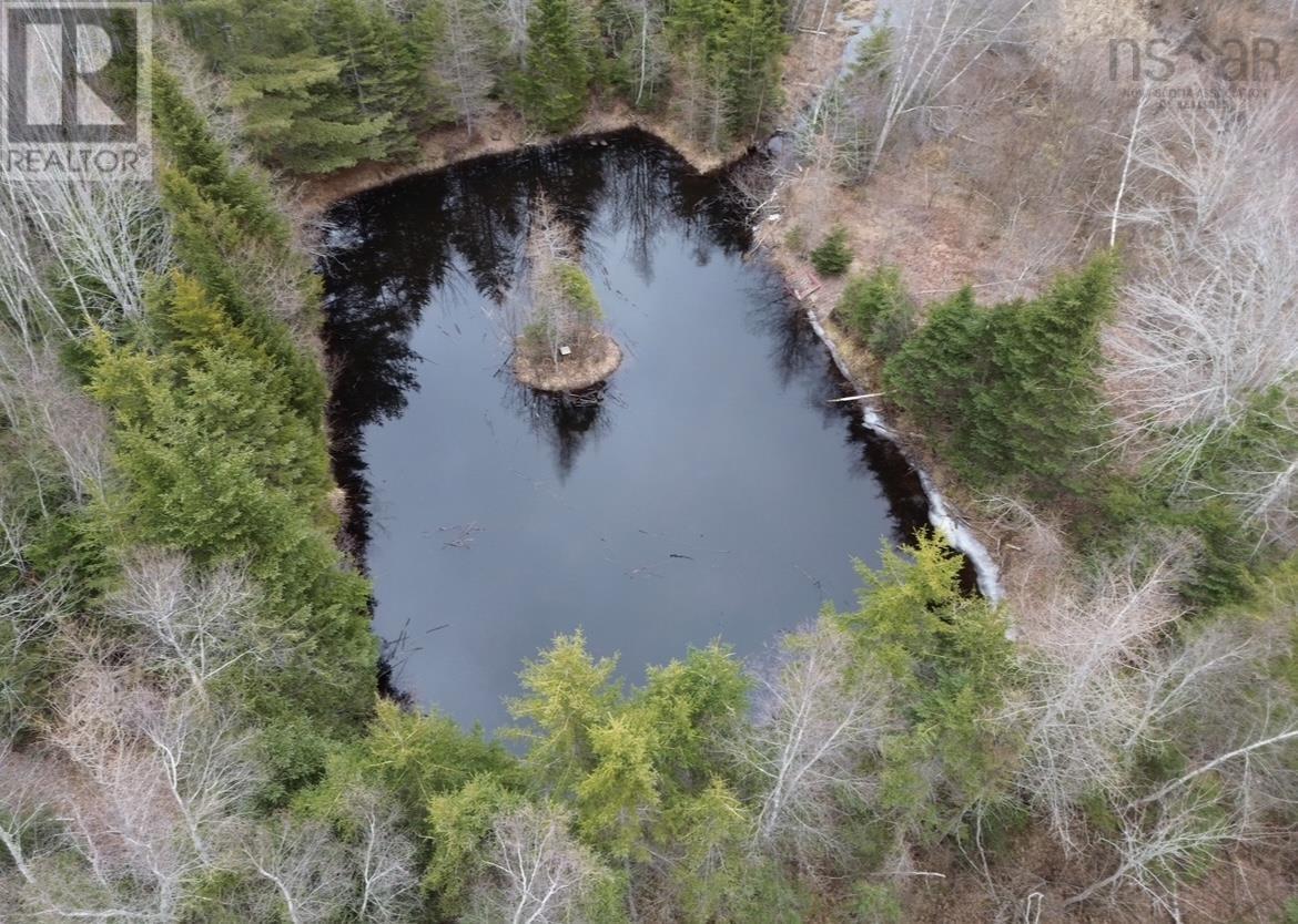 115 BENNIE MUCKLE ROAD - 13