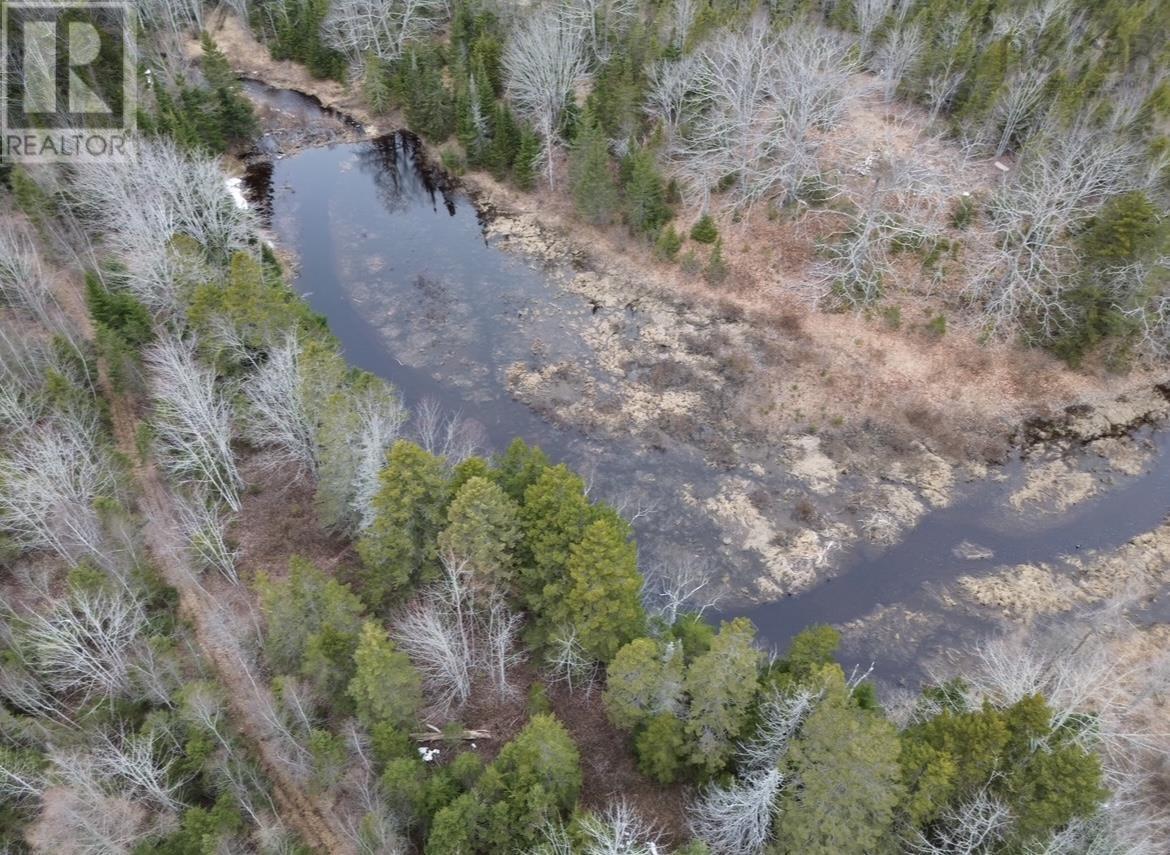 115 BENNIE MUCKLE ROAD - 22