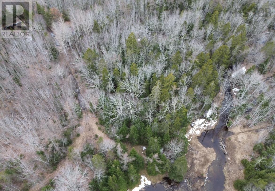 115 BENNIE MUCKLE ROAD - 19