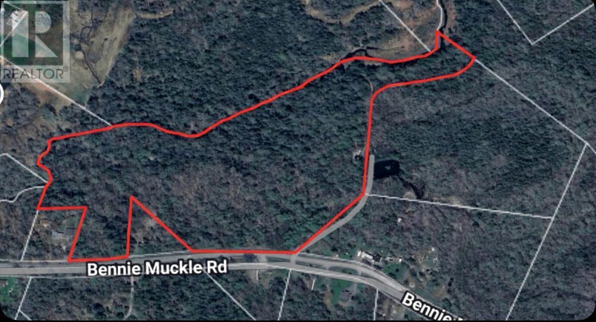 115 BENNIE MUCKLE ROAD - 4