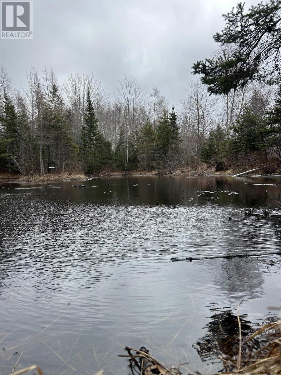 115 BENNIE MUCKLE ROAD - 29