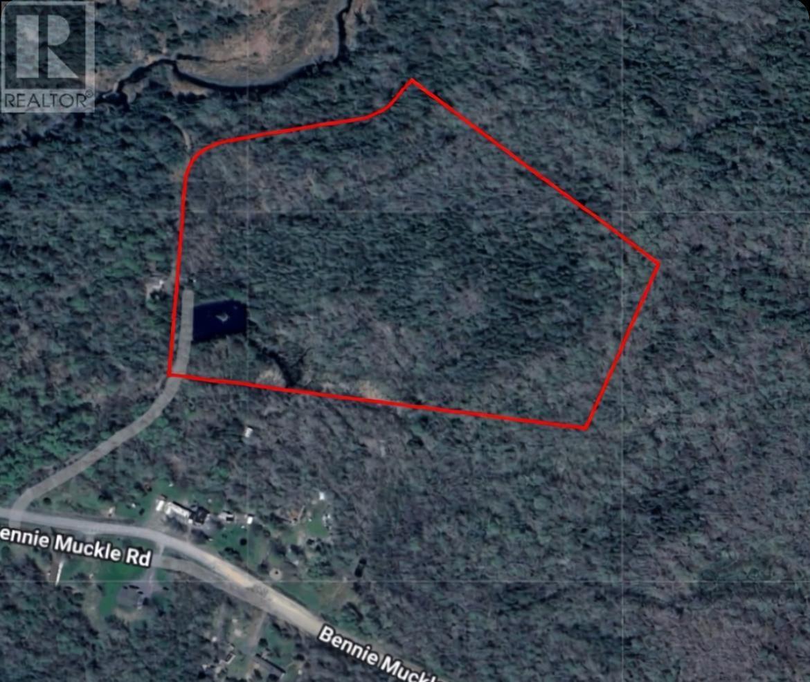 115 BENNIE MUCKLE ROAD - 5