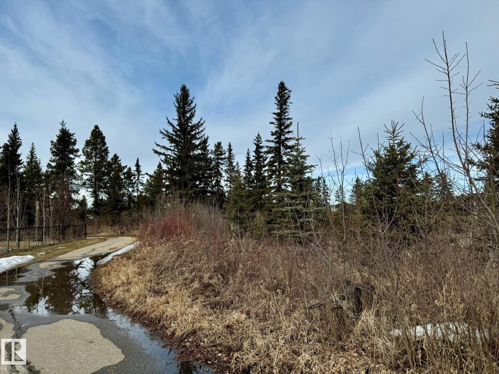 #1 103 ALLARD LI SW, Edmonton