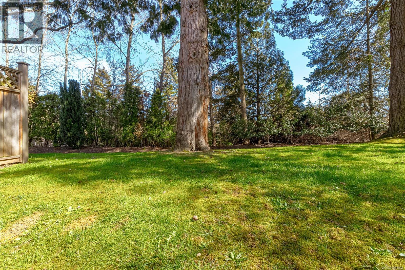 #9 4619 ELK LAKE DR - 28