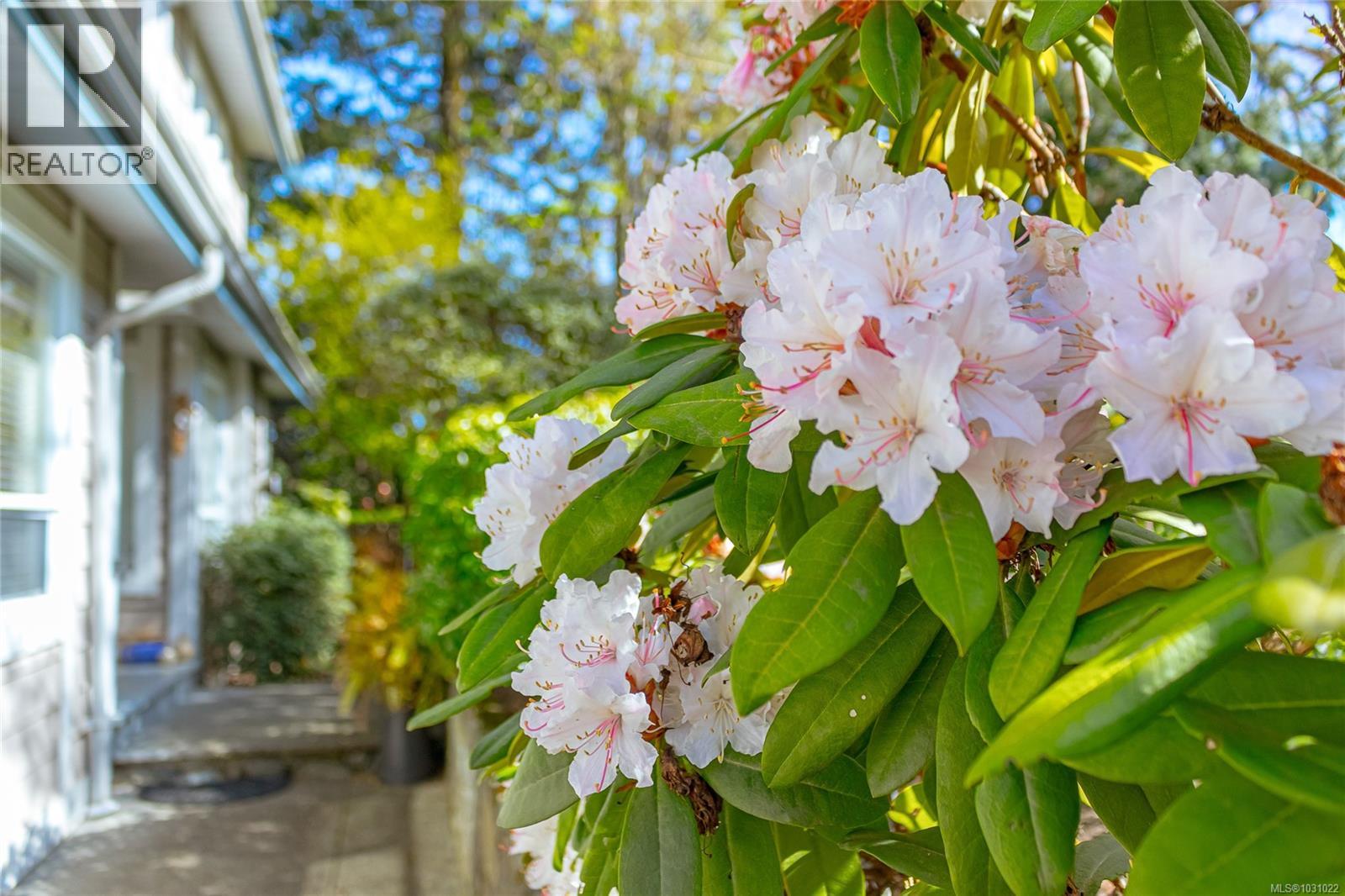 #9 4619 ELK LAKE DR - 31