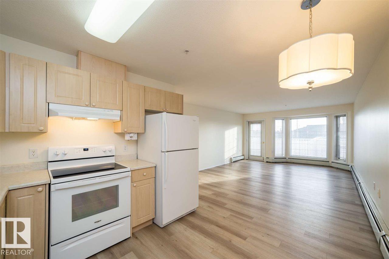 #252 13441 127 St NW, Edmonton