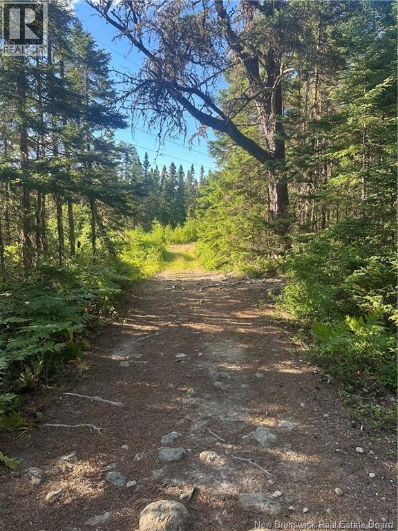 0 Parker Rd, Parker Road, New Brunswick, E1V5E6, Parker Road, New Brunswick — photo 4 of 5