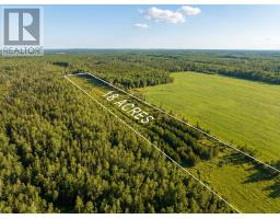 1969 Strathcona Road, Route 312, Forest Hill, PE C0A2A0 Photo 9