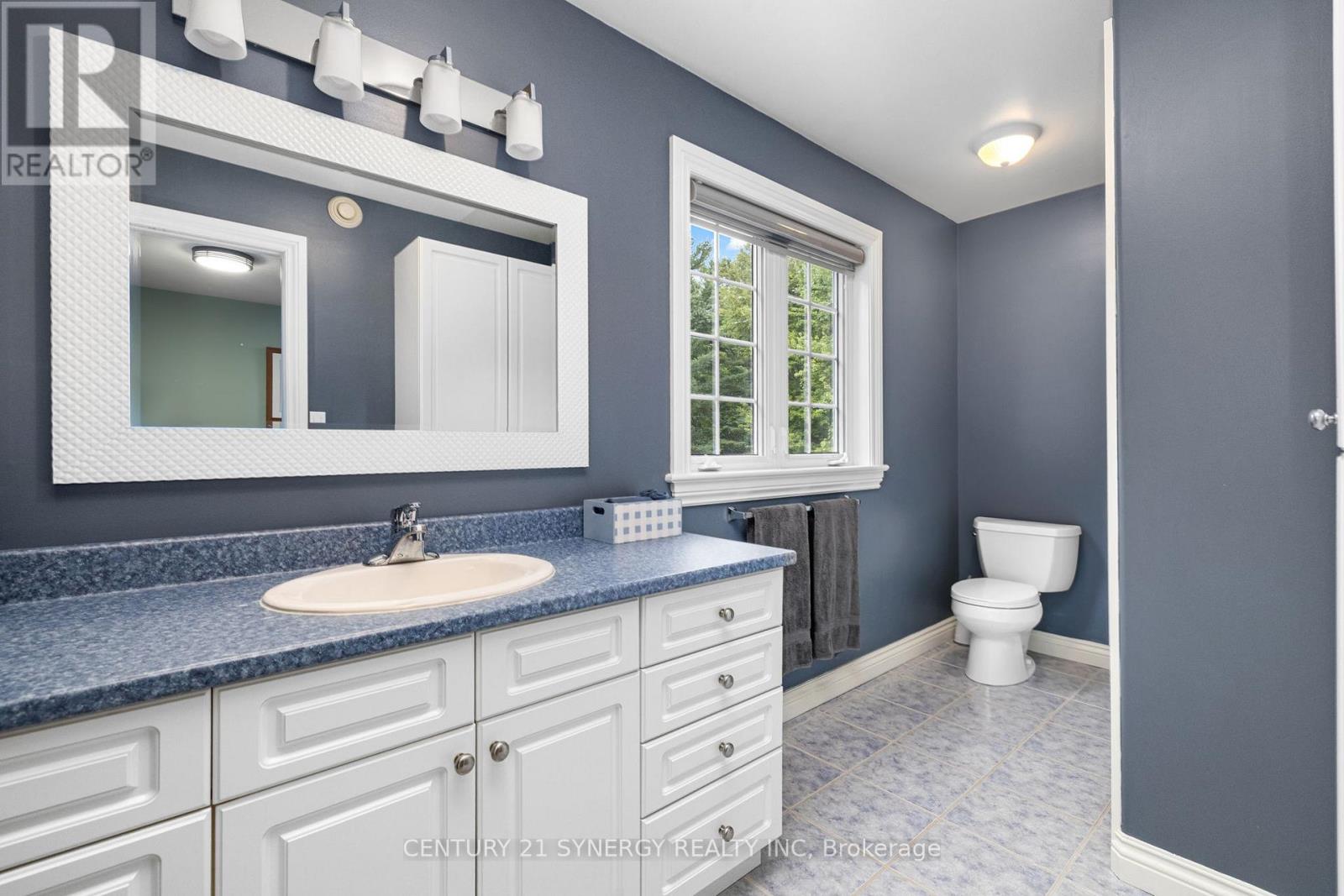 4621 HAGGARTS SIDE ROAD - 29