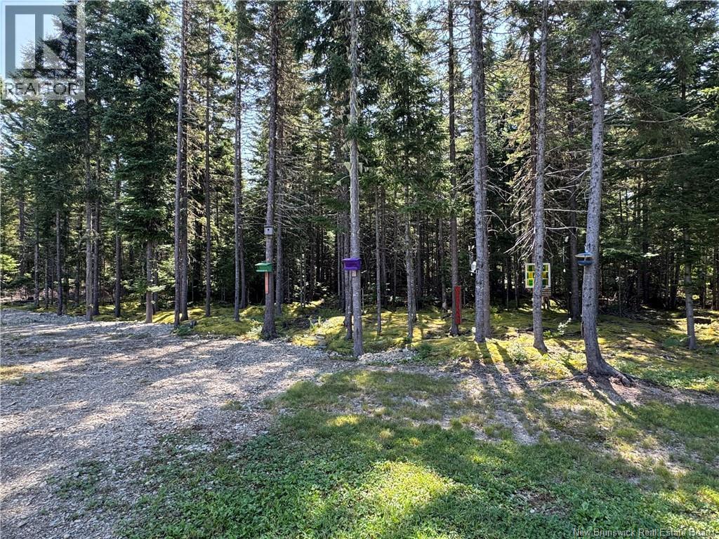 11 Burt Cliff Rd - 46