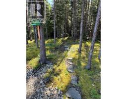 11 Burt Cliff Rd, Juniper, NB E7L1J1 Photo 45