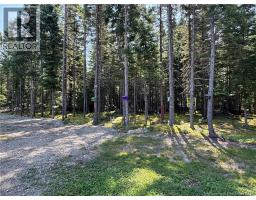 11 Burt Cliff Rd, Juniper, NB E7L1J1 Photo 46