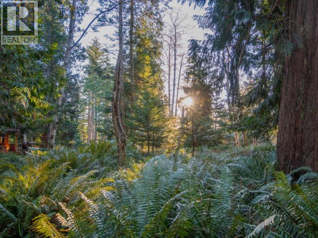 1136 HERCHMER ROAD, Savary Island