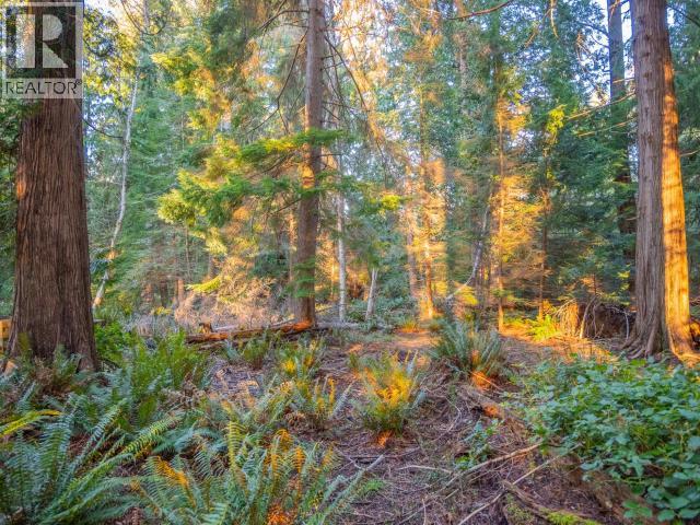 1136 HERCHMER ROAD, Savary Island