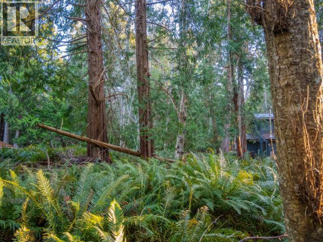1136 HERCHMER ROAD, Savary Island